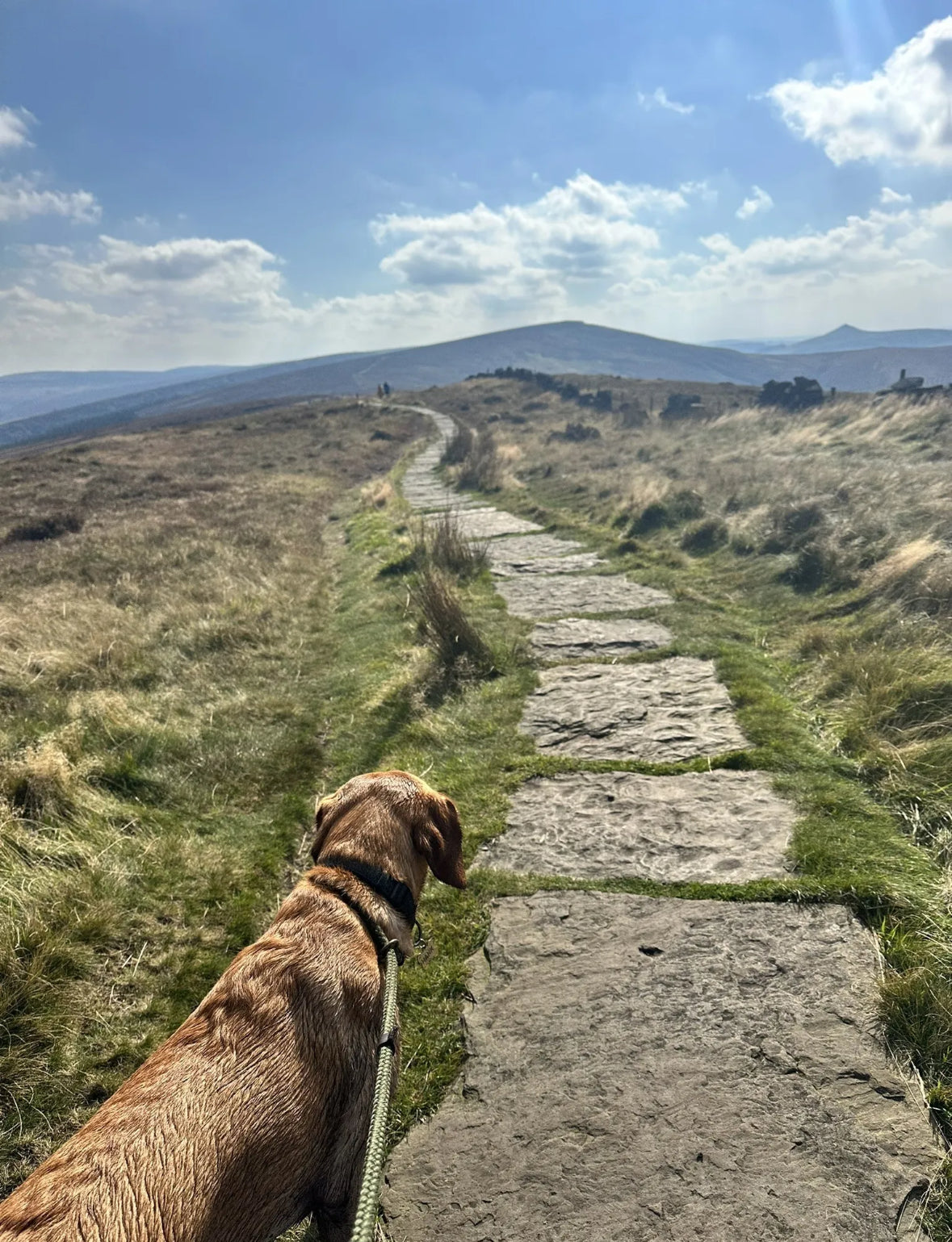 Shining Tor & Goyt Valley Circular 11k Easy/Mod walk - Sunday 30th March