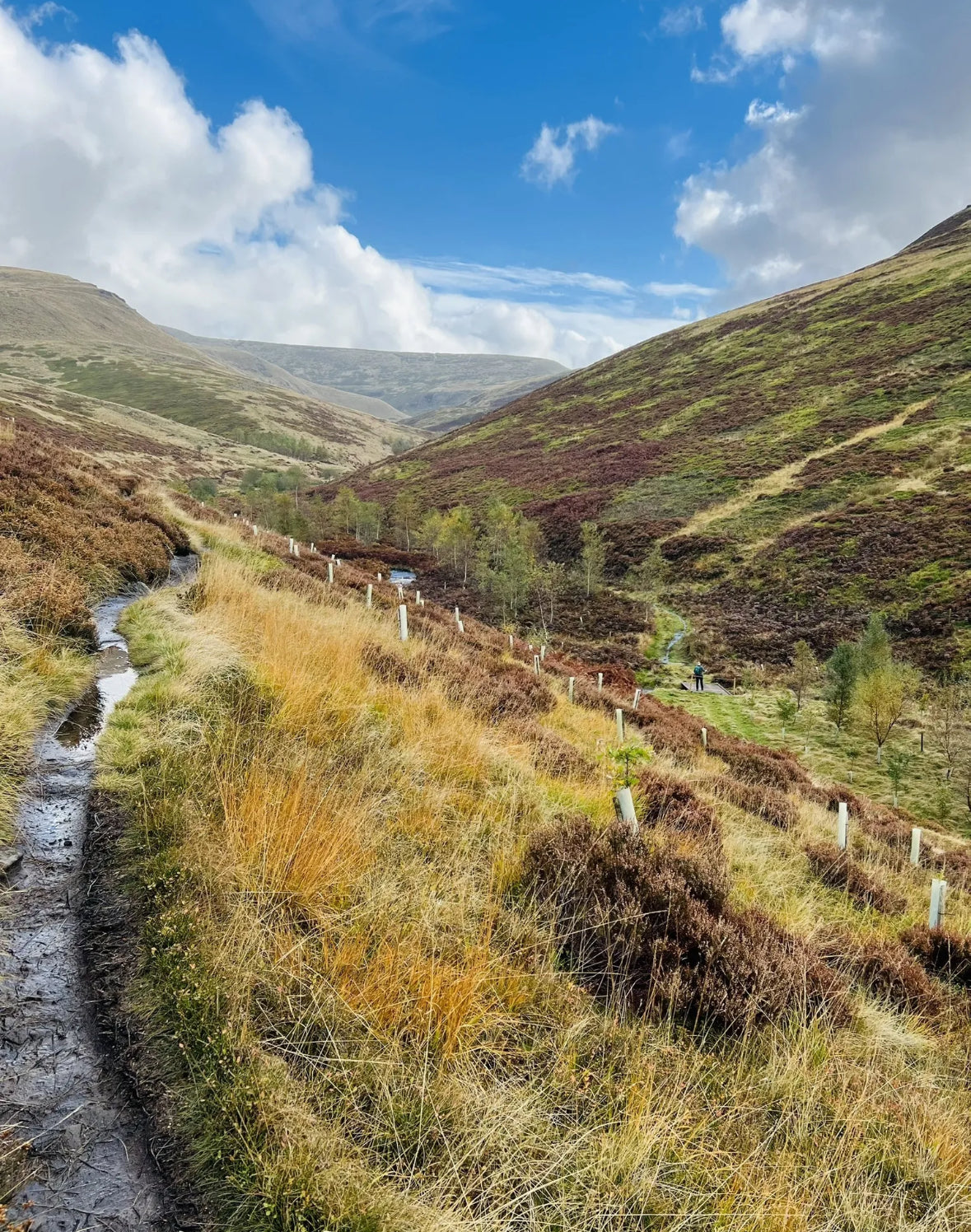 Old Glossop & B-29 Crash Site Circular - Saturday 5th April