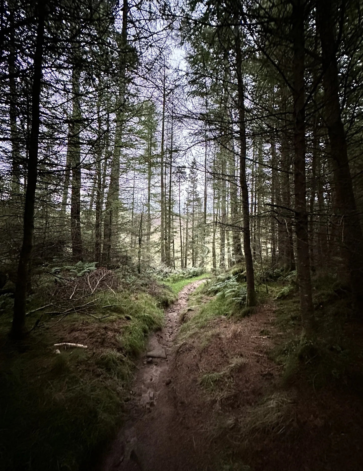 Shining Tor & Goyt Valley Circular 11k Easy/Mod walk - Sunday 30th March