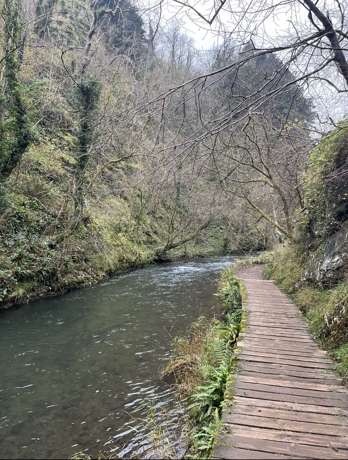 Sunday 16th February - Dovedale Stepping Stones & Lovers Leap Circular via Milldale