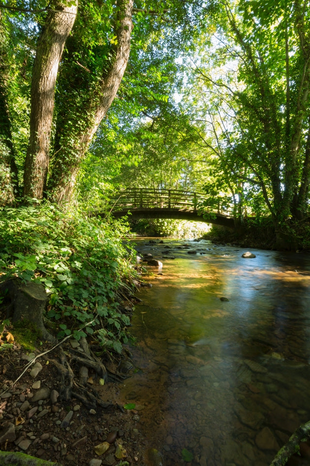 Saturday 22nd  March - A Day in Bath or Mendip Hills (AONB) with a Drive thru of Chedder Gorge!