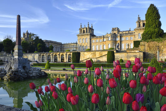 Blenheim Palace in Bloom! Sunday 27th April 2025